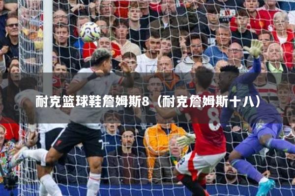 耐克籃球鞋詹姆斯8（耐克詹姆斯十八）