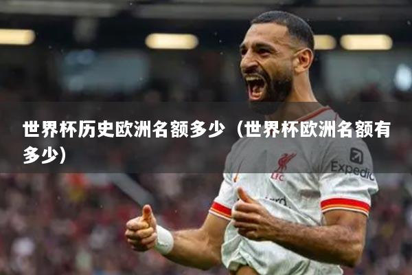 世界杯歷史歐洲名額多少（世界杯歐洲名額有多少）