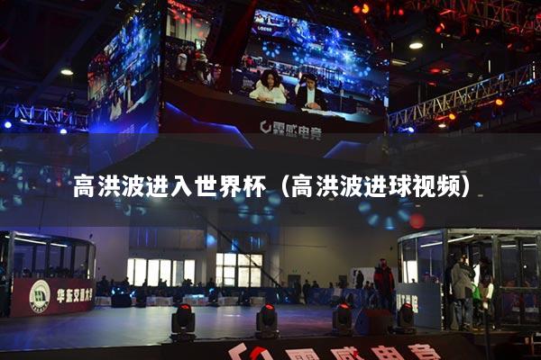 高洪波進(jìn)入世界杯（高洪波進(jìn)球視頻）