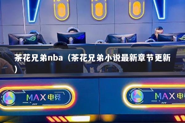 茶花兄弟nba（茶花兄弟小說最新章節(jié)更新）