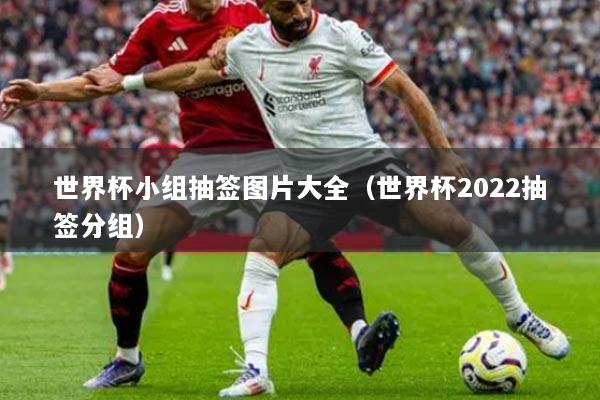 世界杯小組抽簽圖片大全（世界杯2022抽簽分組）