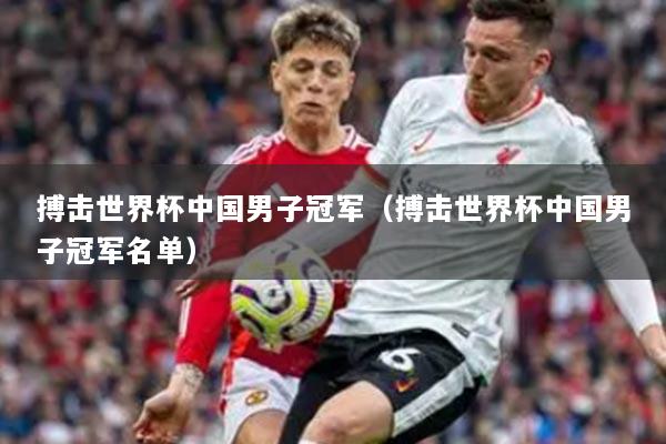 搏擊世界杯中國(guó)男子冠軍(搏擊世界杯中國(guó)男子冠軍名單)