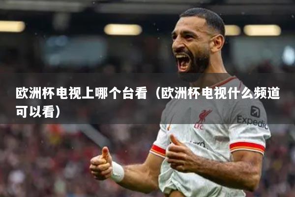 歐洲杯電視上哪個(gè)臺看（歐洲杯電視什么頻道可以看）