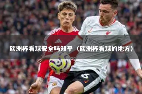 歐洲杯看球安全嗎知乎（歐洲杯看球的地方）