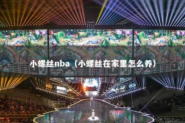 小螺絲nba（小螺絲在家里怎么養(yǎng)）
