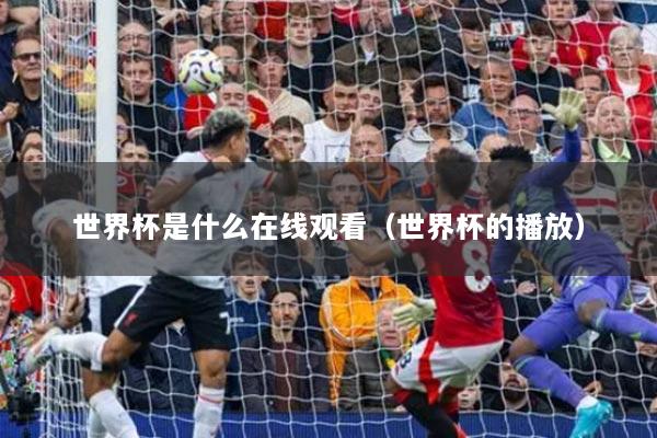 世界杯是什么在線觀看（世界杯的播放）