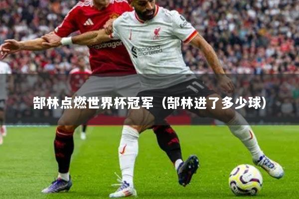 郜林點燃世界杯冠軍（郜林進(jìn)了多少球）