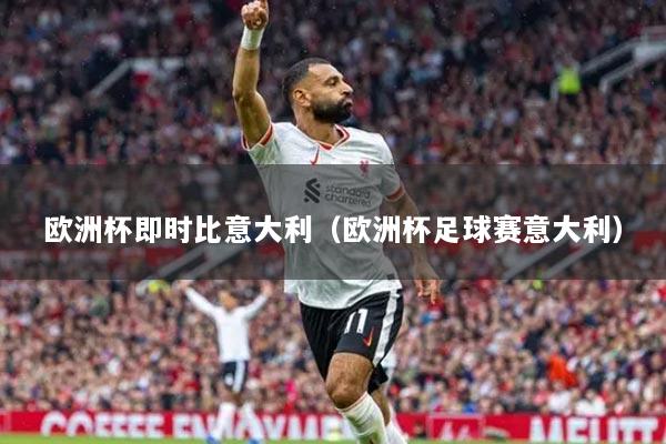 歐洲杯即時(shí)比意大利（歐洲杯足球賽意大利）