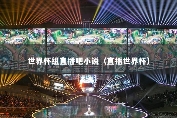 世界杯組直播吧小說（直播世界杯）