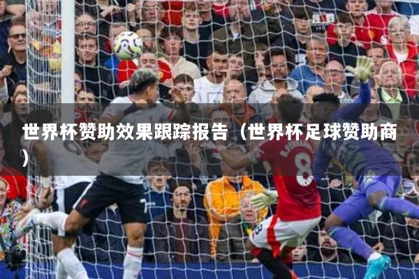 世界杯贊助效果跟蹤報(bào)告（世界杯足球贊助商）