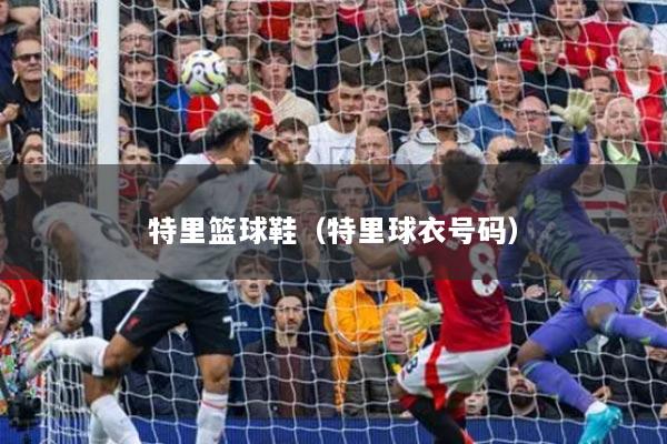 特里籃球鞋(特里球衣號碼)