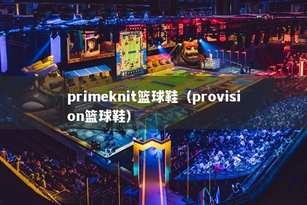 primeknit籃球鞋（provision籃球鞋）
