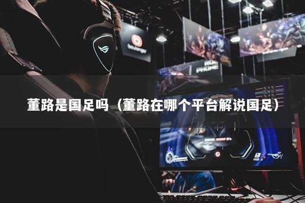 董路是國(guó)足嗎（董路在哪個(gè)平臺(tái)解說國(guó)足）