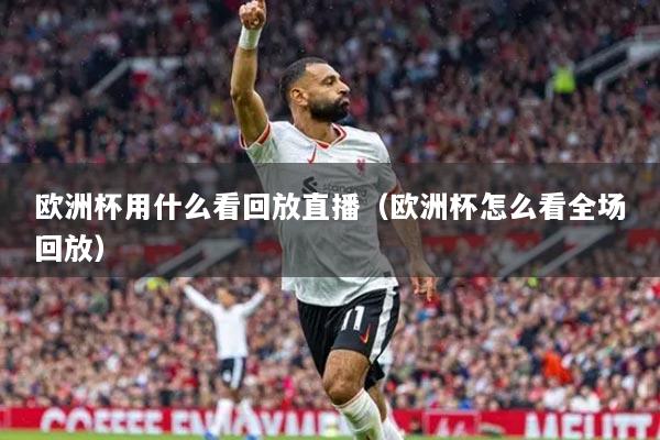 歐洲杯用什么看回放直播（歐洲杯怎么看全場(chǎng)回放）