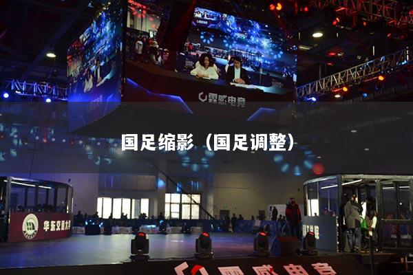 國(guó)足縮影（國(guó)足調(diào)整）