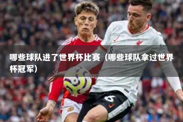 哪些球隊進(jìn)了世界杯比賽（哪些球隊拿過世界杯冠軍）