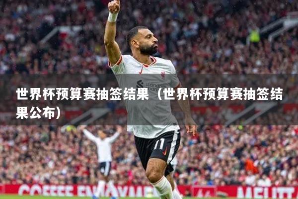 世界杯預(yù)算賽抽簽結(jié)果（世界杯預(yù)算賽抽簽結(jié)果公布）