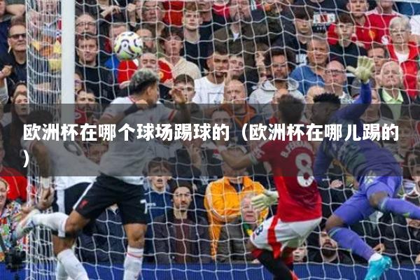 歐洲杯在哪個(gè)球場踢球的（歐洲杯在哪兒踢的）
