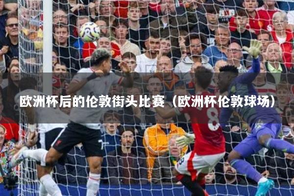 歐洲杯后的倫敦街頭比賽（歐洲杯倫敦球場(chǎng)）