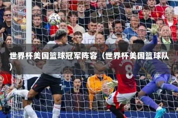 世界杯美國籃球冠軍陣容（世界杯美國籃球隊）