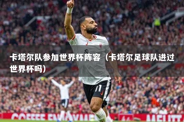 卡塔爾隊參加世界杯陣容（卡塔爾足球隊進過世界杯嗎）