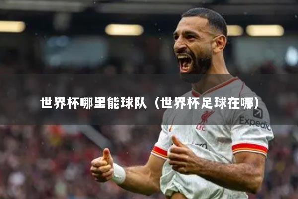 世界杯哪里能球隊（世界杯足球在哪）