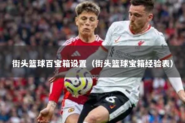 街頭籃球百寶箱設(shè)置（街頭籃球?qū)毾浣?jīng)驗表）