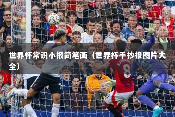 世界杯常識小報簡筆畫（世界杯手抄報圖片大全）