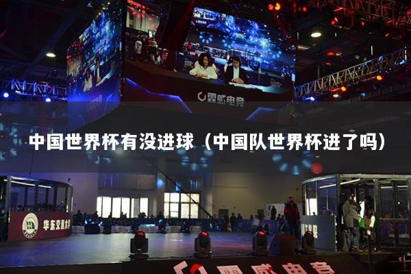 中國(guó)世界杯有沒(méi)進(jìn)球（中國(guó)隊(duì)世界杯進(jìn)了嗎）