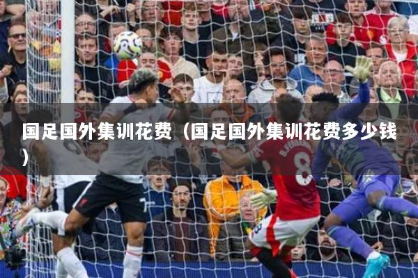 國(guó)足國(guó)外集訓(xùn)花費(fèi)（國(guó)足國(guó)外集訓(xùn)花費(fèi)多少錢(qián)）