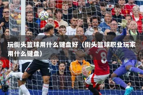 玩街頭籃球用什么鍵盤好（街頭籃球職業(yè)玩家用什么鍵盤）