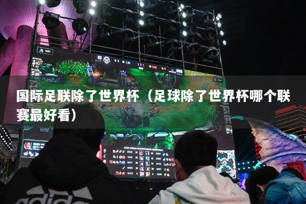 國際足聯(lián)除了世界杯（足球除了世界杯哪個聯(lián)賽最好看）