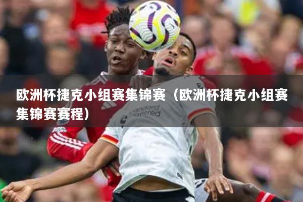 歐洲杯捷克小組賽集錦賽（歐洲杯捷克小組賽集錦賽賽程）