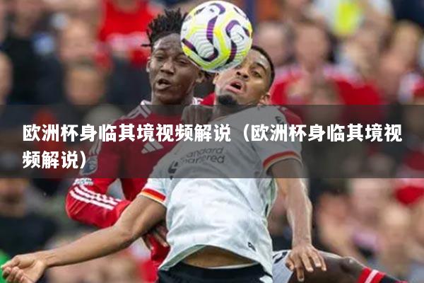 歐洲杯身臨其境視頻解說（歐洲杯身臨其境視頻解說）