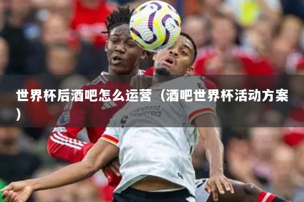 世界杯后酒吧怎么運營（酒吧世界杯活動方案）