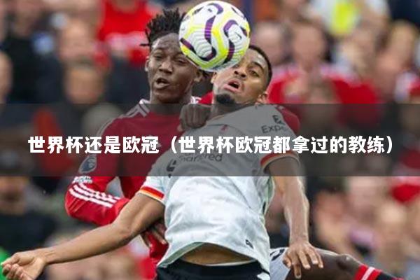 世界杯還是歐冠（世界杯歐冠都拿過(guò)的教練）