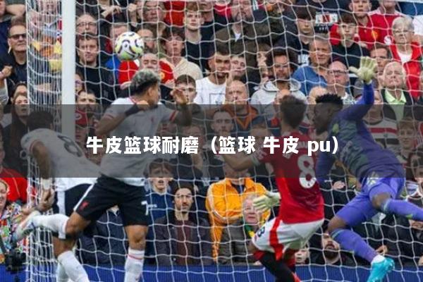 牛皮籃球耐磨（籃球 牛皮 pu）