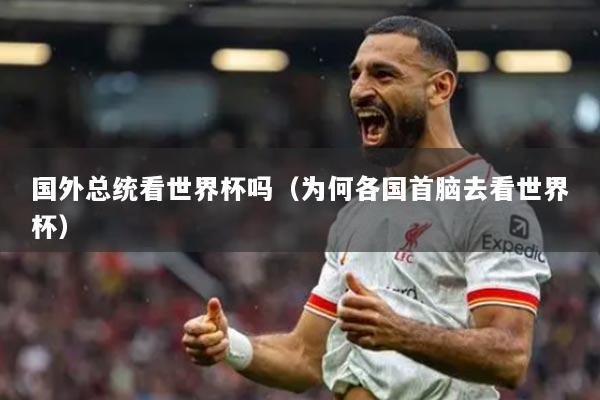 國外總統(tǒng)看世界杯嗎（為何各國首腦去看世界杯）