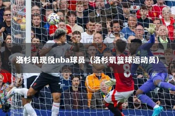 洛杉磯現(xiàn)役nba球員（洛杉磯籃球運動員）