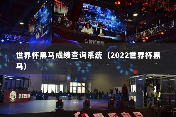世界杯黑馬成績查詢系統(tǒng)（2022世界杯黑馬）