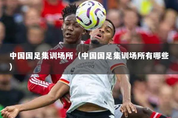 中國(guó)國(guó)足集訓(xùn)場(chǎng)所（中國(guó)國(guó)足集訓(xùn)場(chǎng)所有哪些）