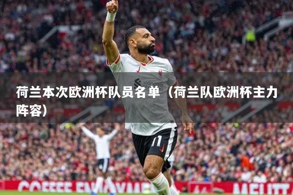 荷蘭本次歐洲杯隊(duì)員名單（荷蘭隊(duì)歐洲杯主力陣容）