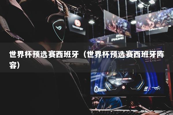 世界杯預(yù)選賽西班牙（世界杯預(yù)選賽西班牙陣容）