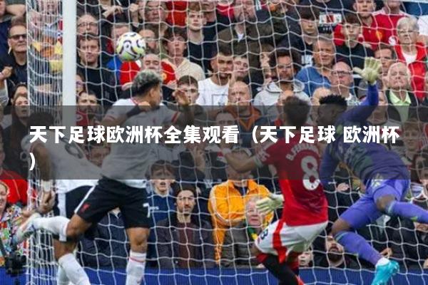 天下足球歐洲杯全集觀看（天下足球 歐洲杯）