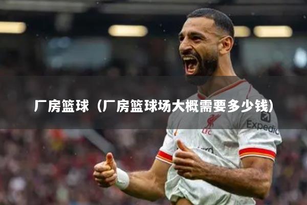 廠房籃球（廠房籃球場大概需要多少錢）