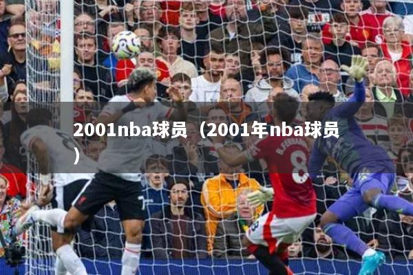 2001nba球員（2001年nba球員）