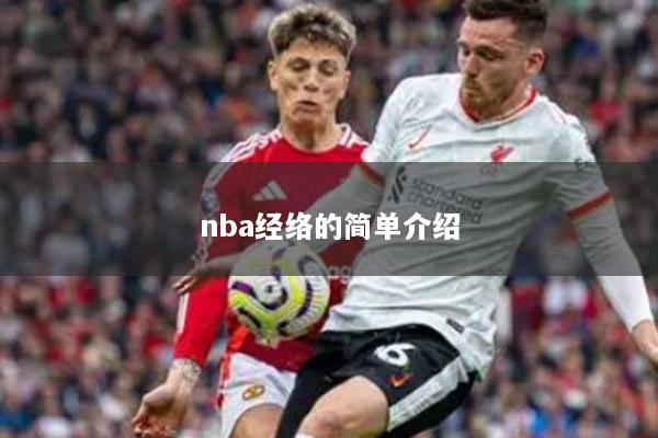 nba經絡的簡單介紹