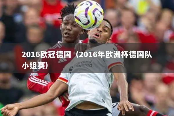 2016歐冠德國（2016年歐洲杯德國隊小組賽）