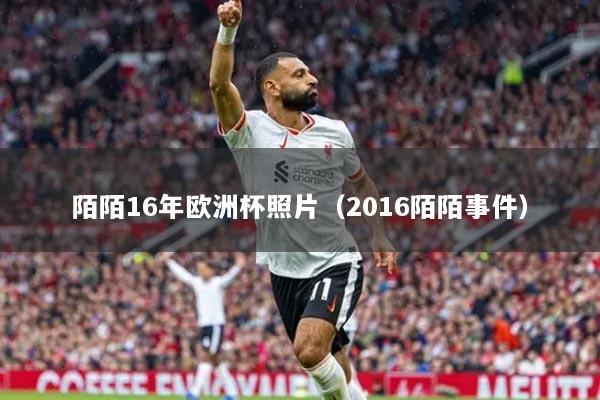 陌陌16年歐洲杯照片（2016陌陌事件）