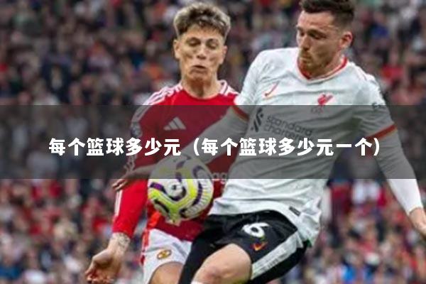 每個(gè)籃球多少元（每個(gè)籃球多少元一個(gè)）